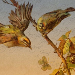 L’automne oiseaux & Blackberry branche, antique allemand carte postale Téléchargement instantané, FrA168