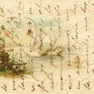 Script espagnol et Swan, Bird, Script carte postale européenne instantanée numérique Télécharger FrA123