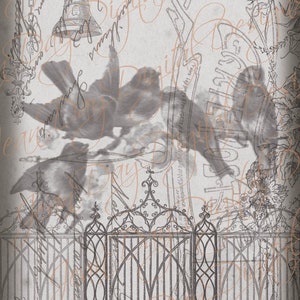 Porte-fenêtre avec collage numérique oiseaux - étiquette de carte postale française, téléchargement immédiat - FS002