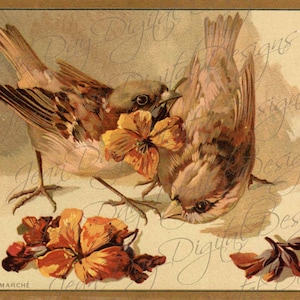 Uccelli digitali, Uccelli francesi, OIseaux, Bon Marche, Autunno, Fiori d'arancio - Annuncio francese, immagine più grande Instant Download, FrA181
