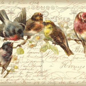 French Birds Collage, Five Birds on a Branch, Instant Download, French Postcard FrA119