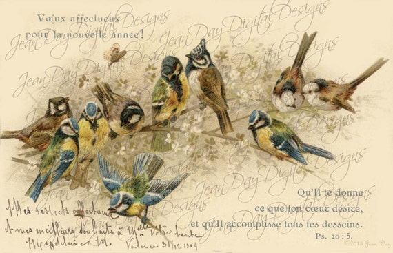 Wonderful Birds Postcard Wonderful Birds Postcard