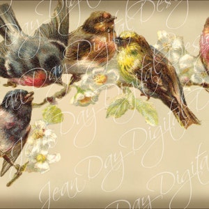 Fünf Vögel auf einem Zweig Vögel Collage Postkarte sofortigen DB038