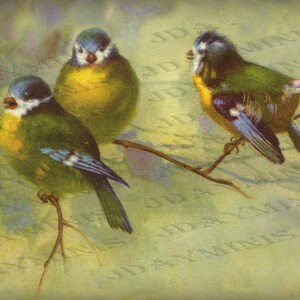 Uccelli "Chatting", uccelli blu e gialli 1926, cartolina spagnola Instant Download FrA088