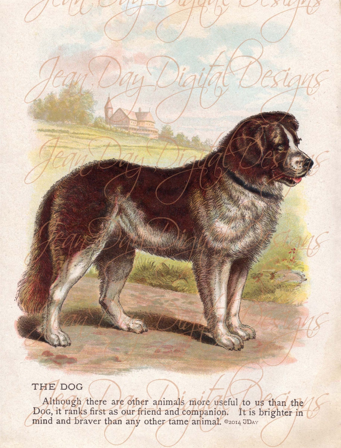 Why The Dog Is Useful For Us