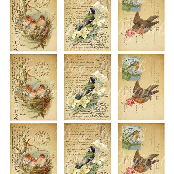 French Bird, Flower and Nest - Gift Tags - French Postcard - Collage Sheet - Instant Download Printable Tf010