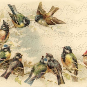 carte postale Français Birds, Early Morning Meeting, 9 beaux oiseaux Téléchargement instantané de 1904, FrA164