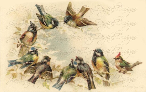Wonderful Birds Postcard Wonderful Birds Postcard