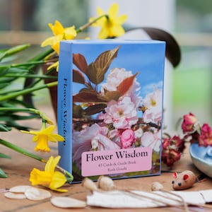 Cartes Oracle Fleur de sagesse