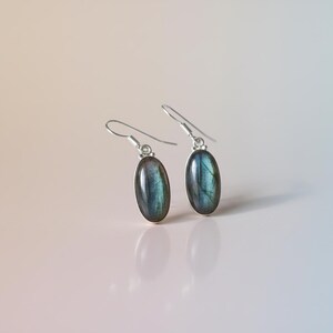 May include: A pair of drop earrings featuring oval-shaped labradorite gemstones with a blue and grey iridescent sheen. The stones are set in silver-toned metal settings and attached to simple silver-toned ear wires for a clean, polished look.
