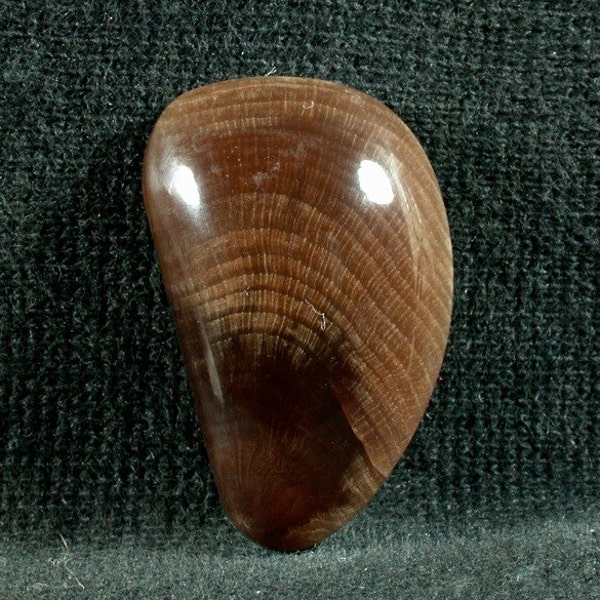 Reserved for Liz  Opalized Wood Freeform Cabochon from Virgin Valley Nevada 17x27x7mm