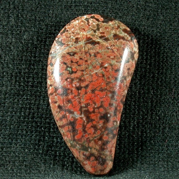 Olympic Poppy Jasper from Washington State  19x34x6mm