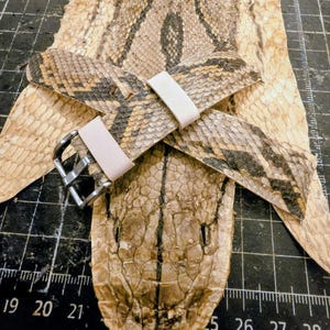 May include: A watch strap featuring a textured, tan and dark brown snakeskin pattern with two smooth, light beige leather keepers and a polished silver-tone metal buckle, resting atop a matching piece of snakeskin material.