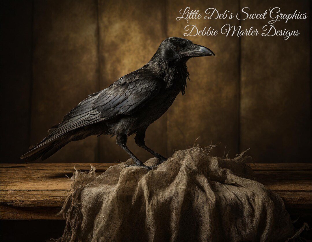 Prim Crow 7 Farmhouse Country Canvas Print Artwork by ...