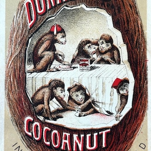 May include: A vintage rectangular advertisement card featuring a large brown coconut shell with a cutout center. Inside, five monkeys wearing red fezzes sit at a table. The text reads THE BEST DUNHAM'S COCOANUT IN THE WORLD in red and black.