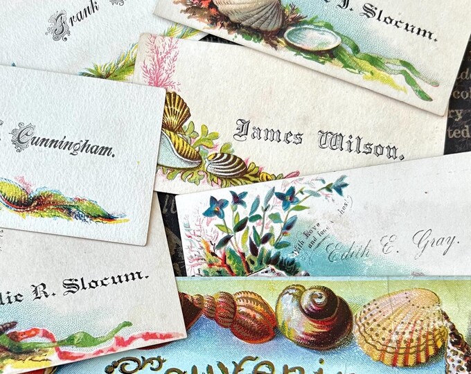 Shell Postcards Antique Sea Shell Cards Ephemera Junk Journal Assemblage Scrappy Lot ...