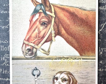 Victorian Trade Card Horse & Dog Brockport Pianos NY 1800's
