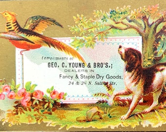 Victorian Trade Card Dog Spaniel with Pheasant George Young Fancy Dry Goods 1800's