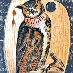 Victorian Trade Card Die Cut Owl Lavine Soap Hartford CT 1800&#39;s