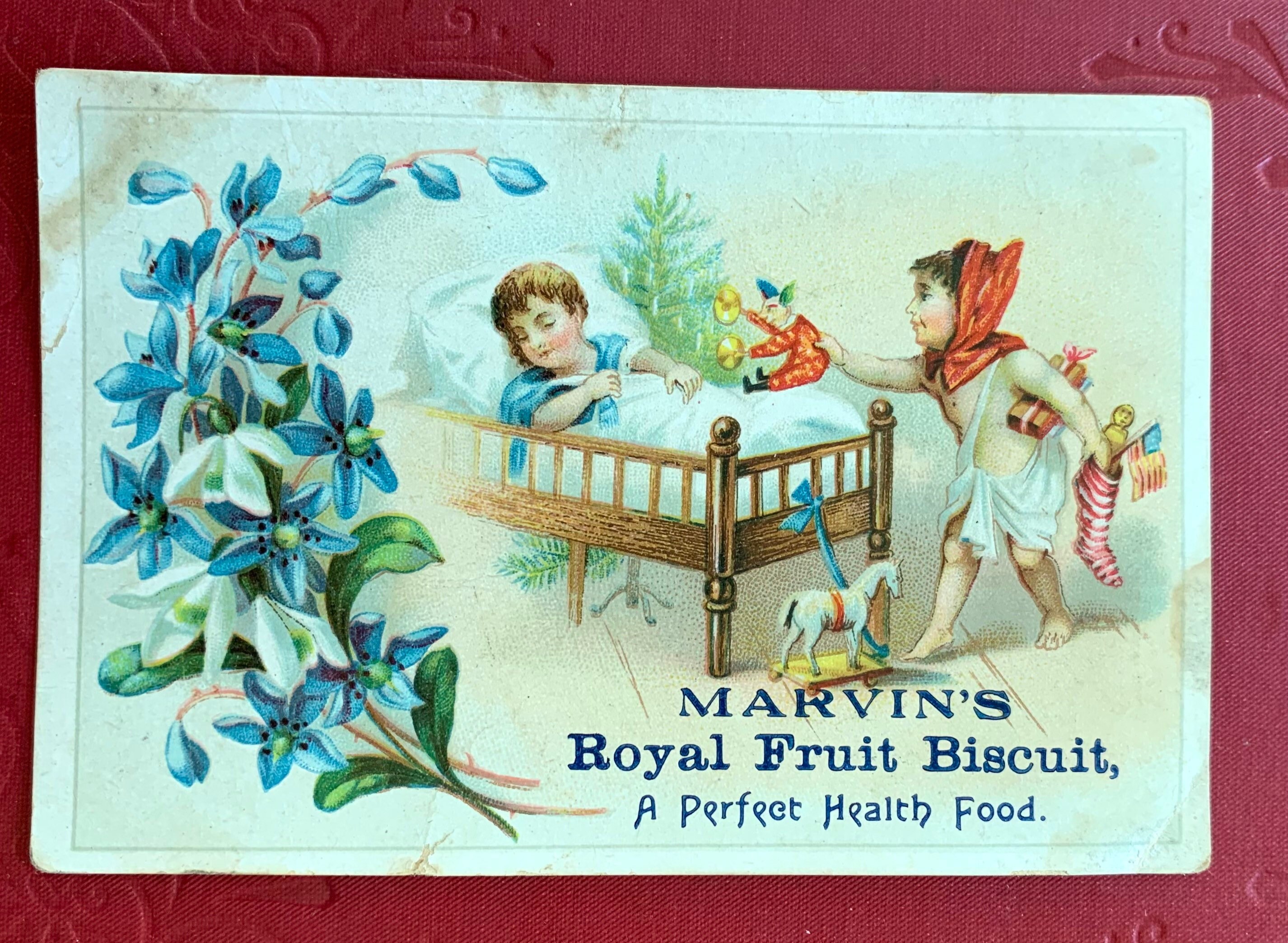 Victorian Trade Card Marvin's Royal Fruit Biscuit Child - Etsy