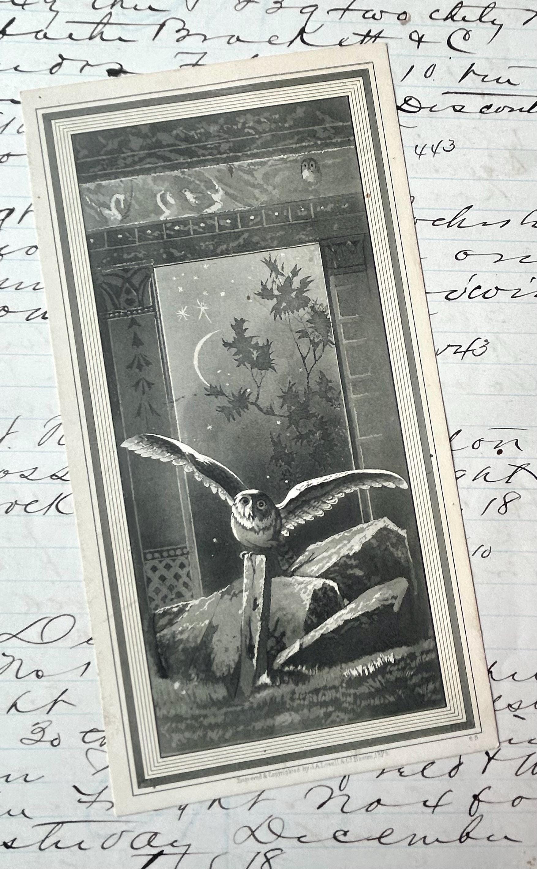 Victorian Trade Card Owl Moonlight Engraving by Prang Hollander Clothing House Boston Mass 1879