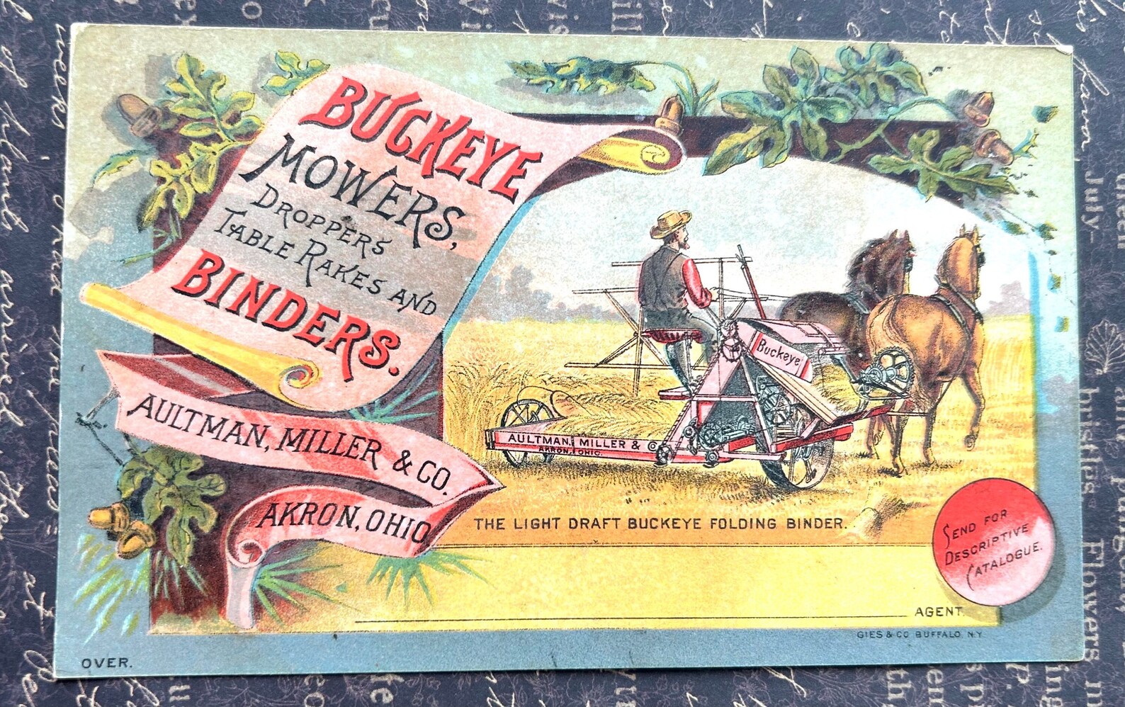 Victorian Trade Card Buckeye Mowers Binders Aultman Miller Co Akron