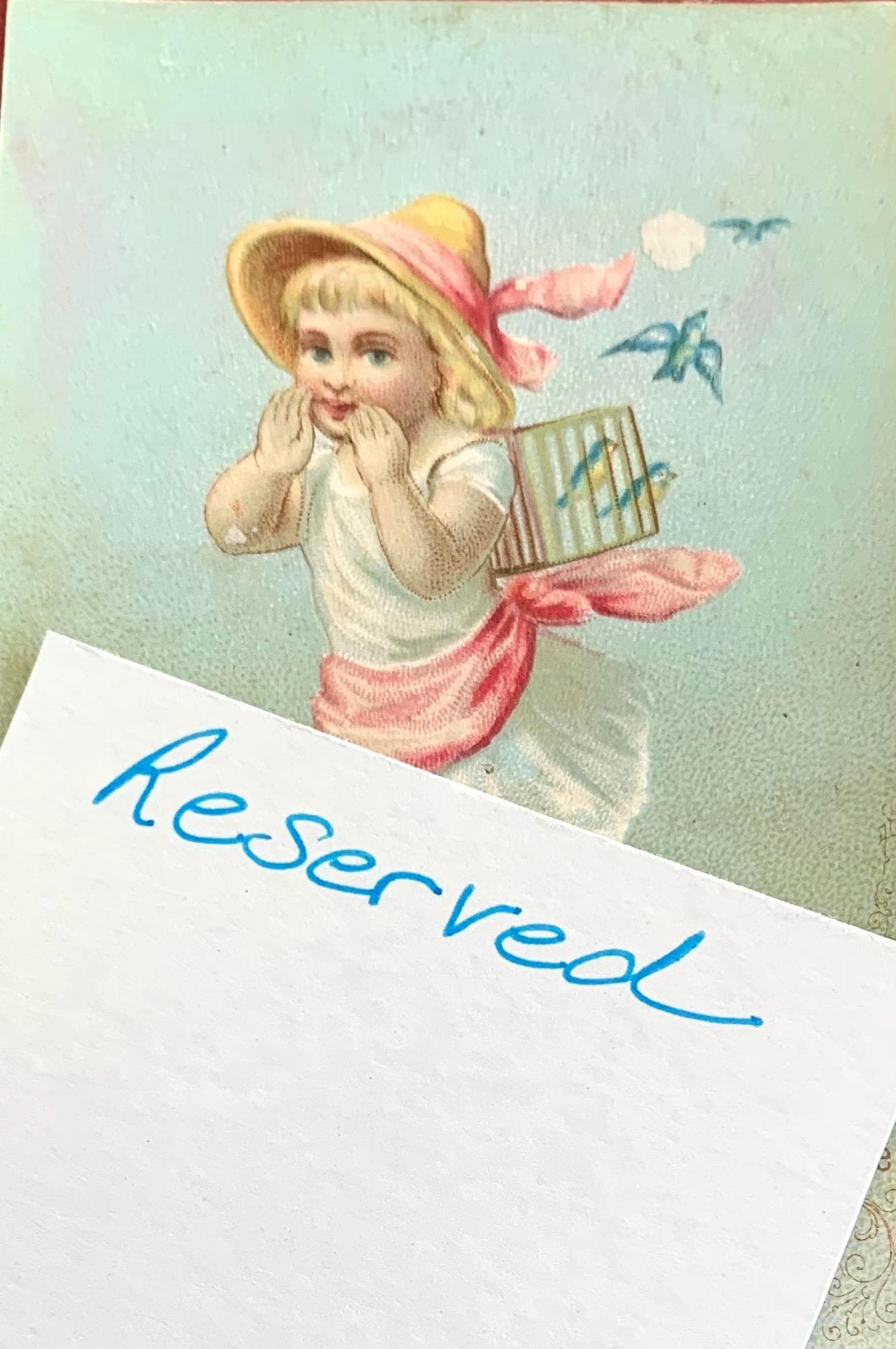 Reserved for Lynn Trade Card Humorous Owls Emerson & Loring Furniture Elmira NY 1882