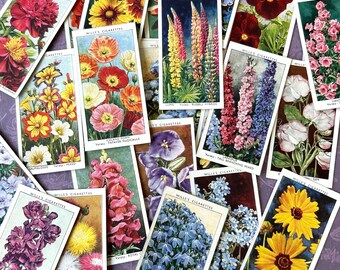 Garden Flowers Wills Cigarette Cards Junk Journal Assemblage 1939 Lot