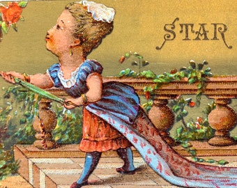 Victorian Trade Card Bookmark Star Braid Lady and Maid Vintage Sewing Advertising D. Hartfield Bleecker St NYC 1800's