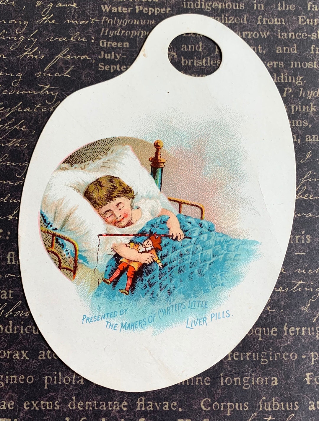 Victorian Die Cut Trade Card Child With Doll Carters Liver Etsy