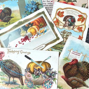 Antique Thanksgiving Postcards Turkey Pumpkin Junk Journal Assemblage Lot 1910-1912