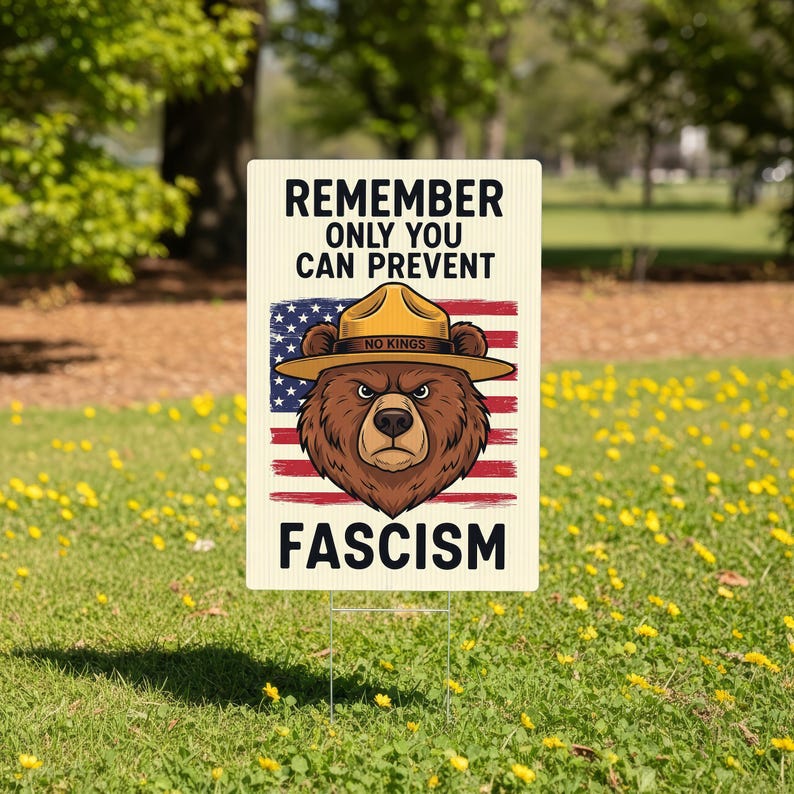 May include: A rectangular sign with the text "REMEMBER ONLY YOU CAN PREVENT FASCISM." The sign features a brown bear wearing a ranger hat, set against a backdrop of the American flag.