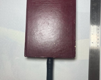 NIV Holy Bible Paddle