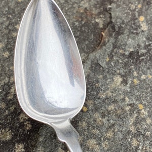 May include: A silver spoon with a rounded bowl and a long, slender handle. The spoon is lying on a rough, gray surface.