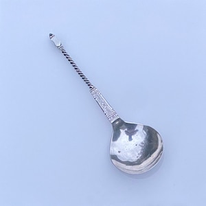 May include: A silver spoon with a twisted handle and an ornate design. The spoon has a rounded bowl and a pointed end.