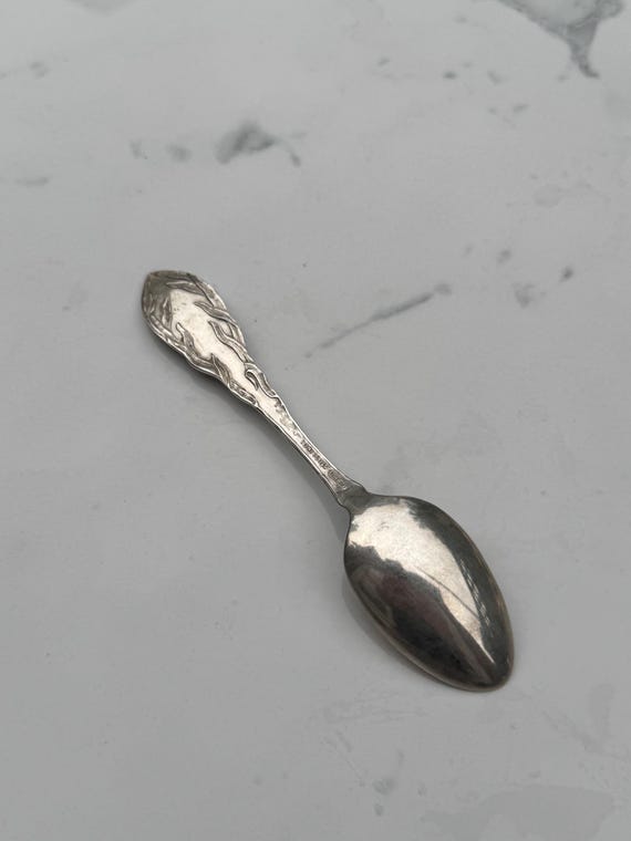 1895 Niagara Falls Sterling Silver Souvenir Spoon by Roden