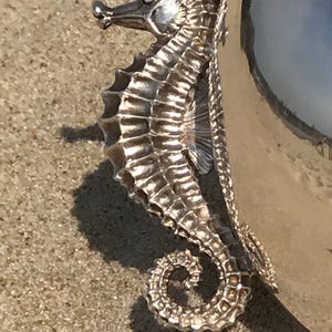 May include: Silver serving bowl with a detailed seahorse handle. The bowl is polished and reflects the surrounding environment.
