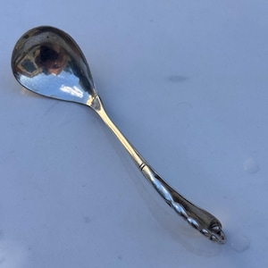 Op de afbeelding: Een gepolijste zilverkleurige lepel met een brede, ronde kom en een slanke steel. De steel is versierd met een herhalend, gedraaid touwachtig patroon over de gehele lengte en eindigt in een klein, afgerond detail met een subtiele metaalglans.