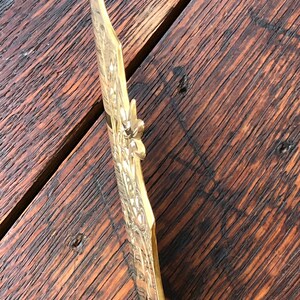 May include: A gold-colored metal decorative wall plaque with an ornate design. The plaque has a floral pattern and a raised edge.