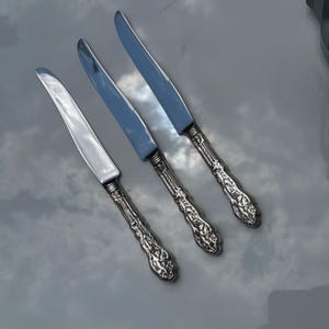Puede incluir: Tres cuchillos plateados con mangos ornamentados y hojas brillantes están dispuestos en diagonal. Los mangos presentan un diseño floral detallado. Los cuchillos están colocados sobre una superficie gris claro reflectante.