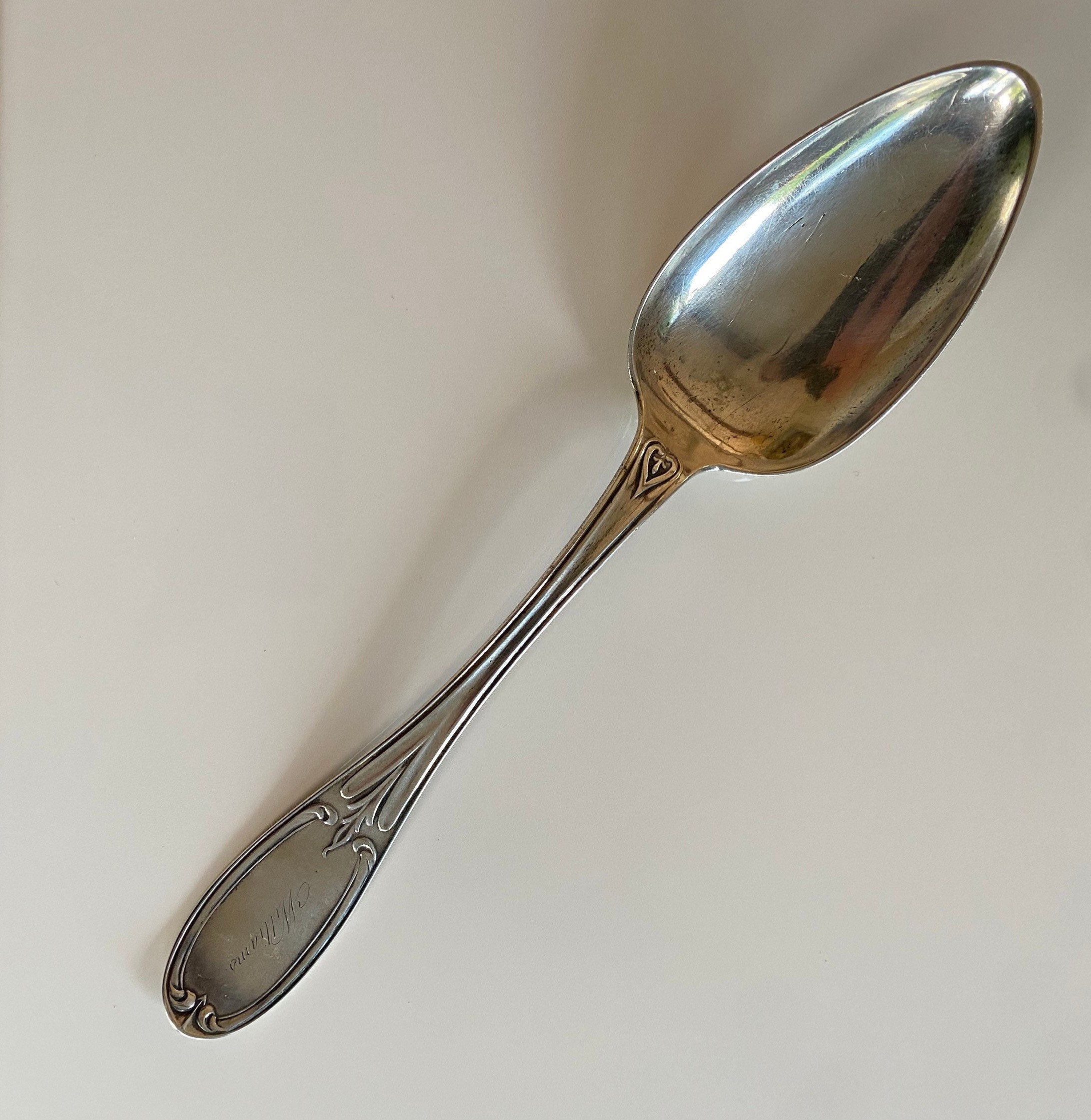 1860 George Doty Coin Silver Tablespoon - Williams Family (63 G