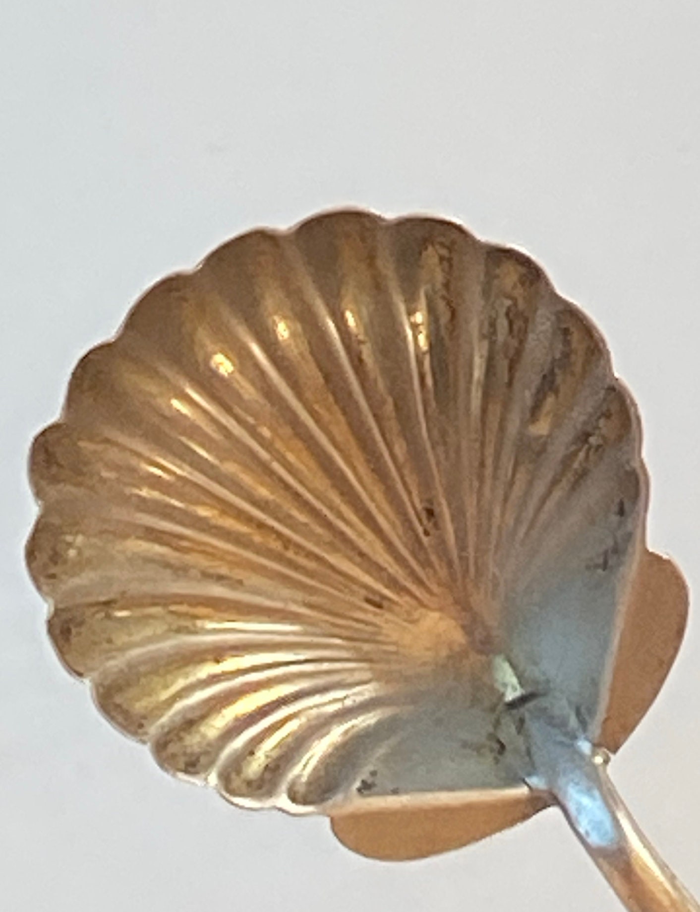 18751940 Wing Nam & Co Hong Kong Chinese Sterling Silver Dragon Sugar