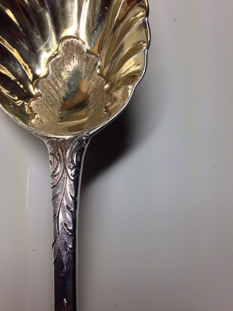 May include: A silver serving spoon with a shell-shaped bowl and ornate handle. The bowl has a textured interior and a scalloped edge. The handle features a detailed floral design. The spoon is made of a shiny, reflective metal.