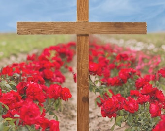 Cruz y campo de rosas