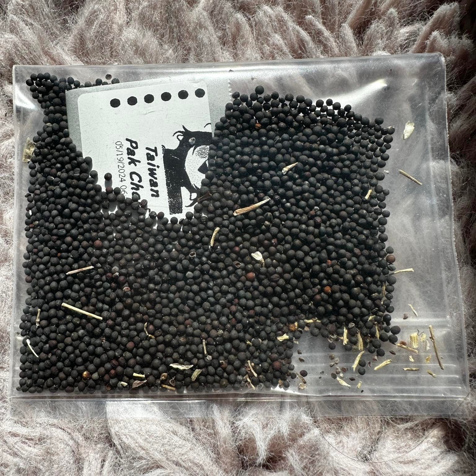 Water Spinach Seeds - Rau Muong - Kangkong, Ong Choy, Kong Xin Cai - Etsy