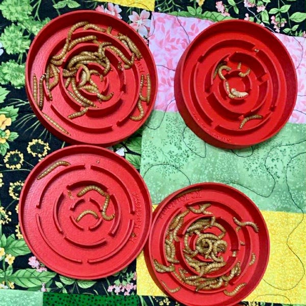 Porta golosinas - Codornices y aves de corral pequeñas