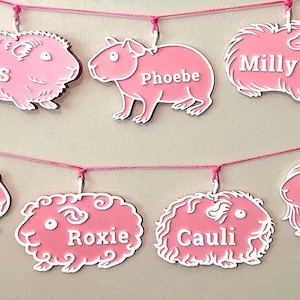 Etiqueta de nombre personalizada para conejillo de indias/conejillo de indias - Letrero decorativo para jaula - Arte de pared personalizado - Regalo
