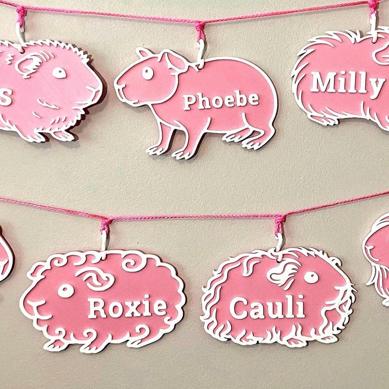 🎁 Custom Guinea Pig/Cavy Name Tag,  Cage Decor Sign
