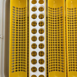 Maticoopx Incubator BUTTON Quail Egg Rack- Incubator Insert