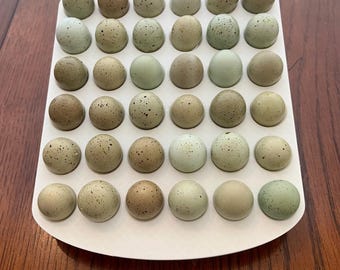 Button Quail Egg Tray 36 Egg Count